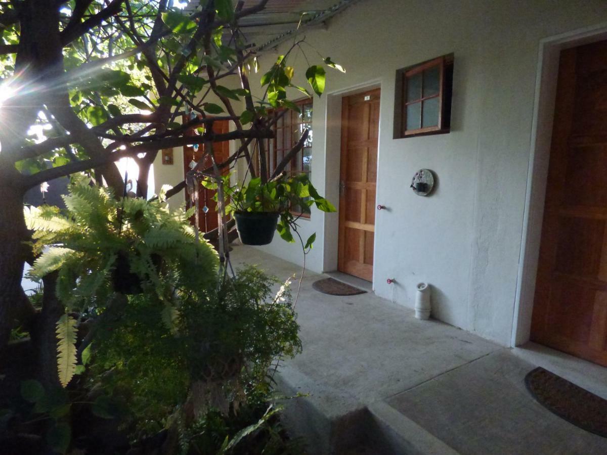 Tsumeb Backpackers & Safari Hostel Buitenkant foto
